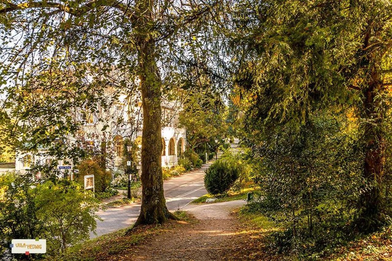 Villa Hedwig Μπάντενβαϊλερ Εξωτερικό φωτογραφία