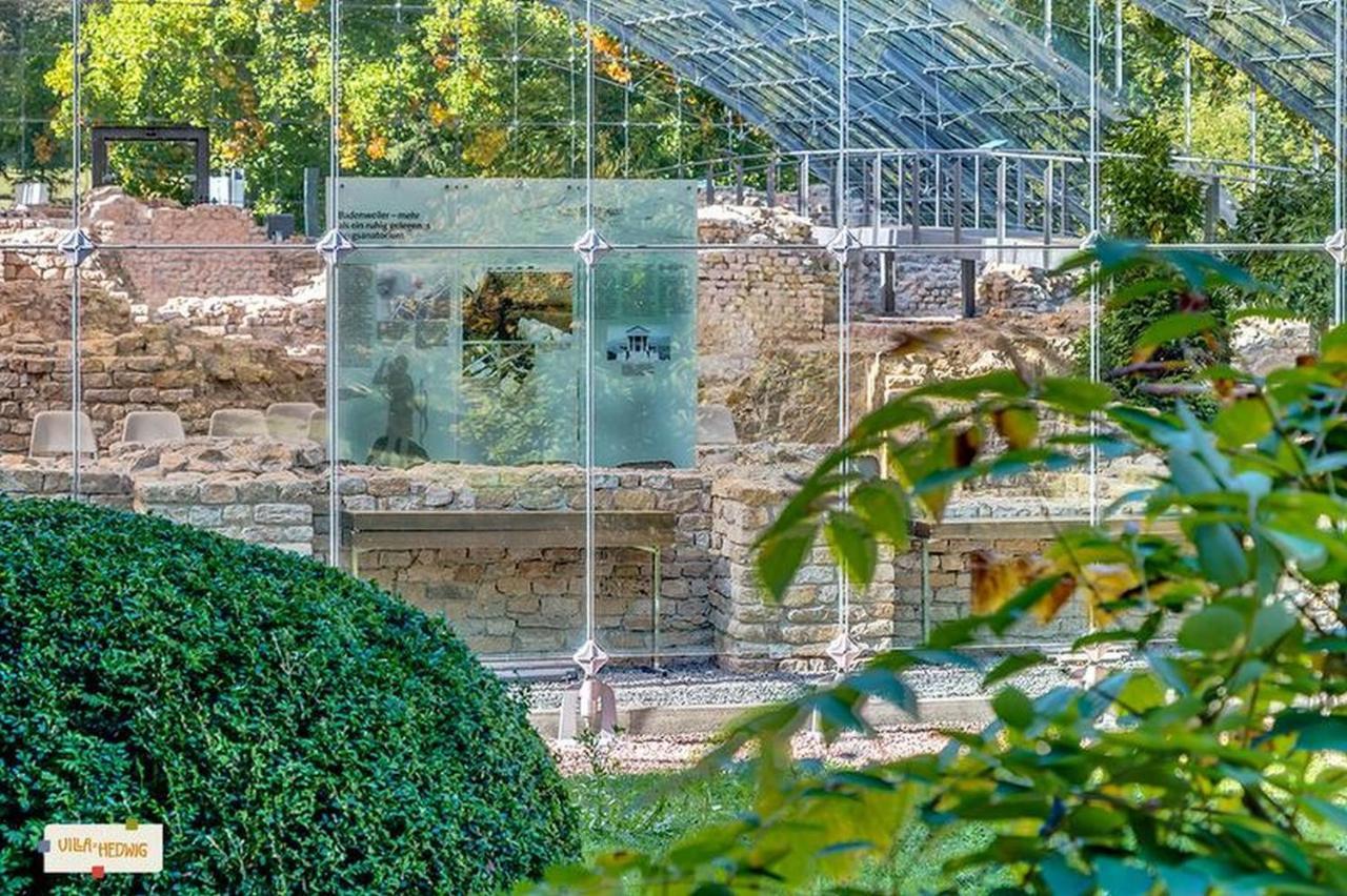 Villa Hedwig Μπάντενβαϊλερ Εξωτερικό φωτογραφία